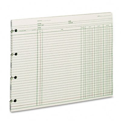 Wilson Jones GN2DA Green End-Balance Ledger Form Paper, Both Sides Alike, Punched for Post Binders, 9-1/4