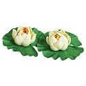 Mini Floating Water Lilies - 2pk