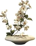 �s���ԁE�ԕr�tF-style vase Dog wood�i�h�b�O �E�b�h(�n�i�~�Y�L) �j