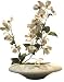 �s���ԁE�ԕr�tF-style vase Dog wood�i�h�b�O �E�b�h(�n�i�~�Y�L) �j