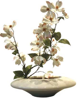 《造花・花瓶》F-style vase Dog wood（ドッグ ウッド(ハナミズキ) ） 