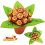 Mega Sweets Lolli Topfblume 19 Lutscher von Mega Sweets