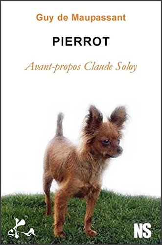 Pierrot: Nouvelle noire (French Edition)