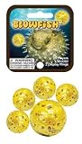 Marbles - Blowfish