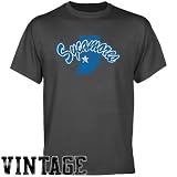 NCAA Indiana State Sycamores Charcoal Distressed Logo Vintage T-shirt