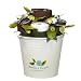 Thanks a Bunch Kitchen Bouquet - Great Thank You Gift Idea for Her - Apron, Tote Bag, Dish Cloths & Towels