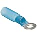 Morris Products 12226 Ring Terminal, Heat Shrinkable, Blue, 16-14 Wire Size, #8 Stud Size  (Pack of 100)