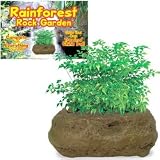 Rainforest Rock Garden
