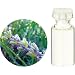 生活の木・Herbal Life EO.・エッセンシャルオイル・スパイク・ラベンダー 10ml