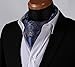 SetSense Men's Paisley Jacquard Woven Self Cravat Tie Ascot Set