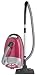 Dirt Devil M7000-5 Allegra, 2500 Watt brombeer
