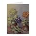 Auricula in the Conservatory by Karen.. - Greeting Card (Pack of 2) - 7x5 inch - Art247 - Standard Size - Pack Of 2