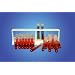 Innovating Science Qualitative Coliform Test Kit (25 Tubes)