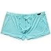 FEESHOW Men's Silky Boxer Briefs Shorts Bugle Pouch Underwear (Blue, Large)