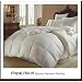 Royal Hotel's 1200 Thread Count California King Size Goose Down Alternative Comforter 100% Egyptian Cotton 1200 TC - 750FP - 50Oz - Solid White