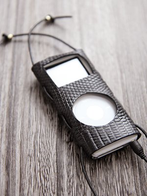 Cover image : L.E.D.BITES(エル.イー.ディー.バイツ) iPod nanoケース B-1581