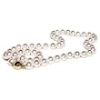 HinsonGayle AAA 7.5-8.0mm White Cultured Pearl Necklace (14k Yellow Gold)