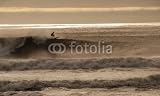 Wallmonkeys Peel and Stick Wall Decals - Surfing at Long Beach, New York - Removable Graphic