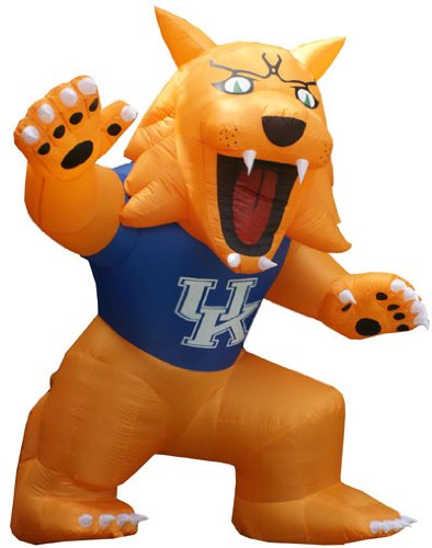 University of Kentucky Inflatable Images - Wildcat