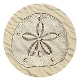 Kitchen & Housewares : Set of Four Sand Dollar Occasions Drink Coasters - Style V50