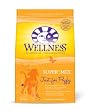 Wellness Super5Mix, Just For Puppy Dog Food, 15-Pound Bag