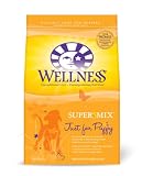 Wellness Super5Mix Dry Dog Food, Just for Puppy Recipe, 15-Pound Bag