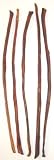 Pet Supplies : 18" Select Smoked Bullysticks