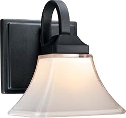 Minka Lavery Agilis Black 1 Lt Bath Bar