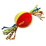 Pet Stages Puppy Cool Teether