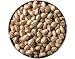 Natural Pistachio Nuts Gift Box by Buddy Squirrel