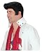 Adult Elvis Presley Wig- Black