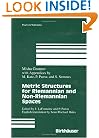 Metric Structures for Riemannian and Non-Riemannian Spaces (Progress in Mathematics)