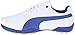 PUMA Titantour V2 Junior Skate Shoe (Little Kid/Big Kid)