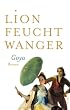 Goya oder Der arge Weg der Erkenntnis: Roman (Feuchtwanger GW in Einzelb�nden)