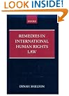 Remedies in International Human Rights Law