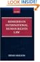Remedies in International Human Rights Law