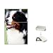 Bernese Mountain Dog Flip Top Lighter