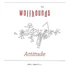 Attitude