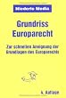 Grundriss Europarecht