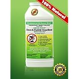 Liquid Fence #113 40OZ Deer Rab Repellent by LIQUID FENCE CO INC