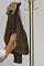 Dressing Stick Shoehorn