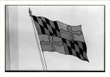 Historic Print (L): Maryland flag