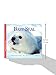Baby Seal (Nature Babies)