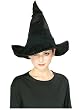 Harry Potter McGonagall's Witch Hat
