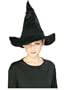 Harry Potter McGonagall's Witch Hat