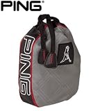 Ping