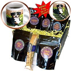 Dogs Appenzeller Mountain Dog - Appenzeller Mountain Dog - Coffee Gift Baskets - Coffee... by 3dRose LLC