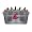 Washington State Cougars