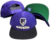 Baltimore Ravens Purple/Black Two Tone Snapback Adjustable Plastic Snap Back Hat / Cap