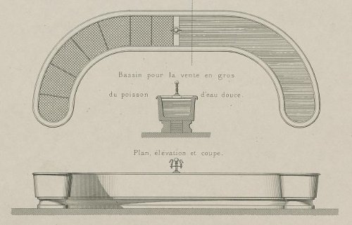 Halles centrales de Paris,fish tank on the main floor,Les Halles,Paris,France